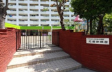 幼稚園 芝園幼稚園