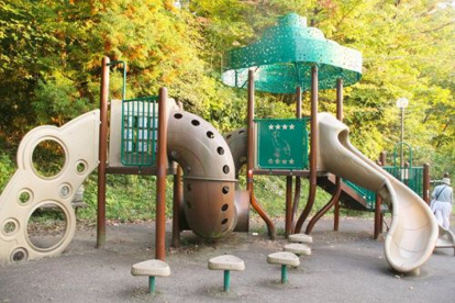 向原の森公園の画像1