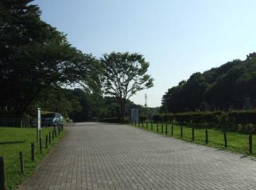 細山５丁目緑地の画像1