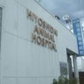 日吉台動物病院