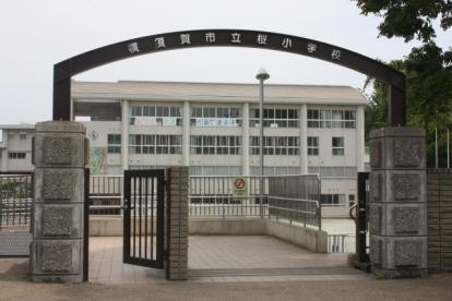 横須賀市立 桜小学校の画像1