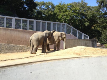 多摩動物公園の画像3