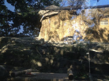 多摩動物公園の画像5