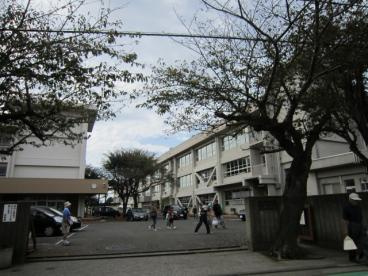 横須賀市立 長井小学校の画像1