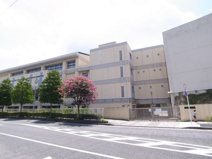 横浜市立神大寺小学校