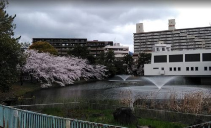 夙川河川敷緑地の画像1