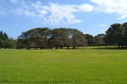 都立砧公園の画像1