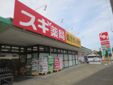 スギ薬局厚木愛甲店