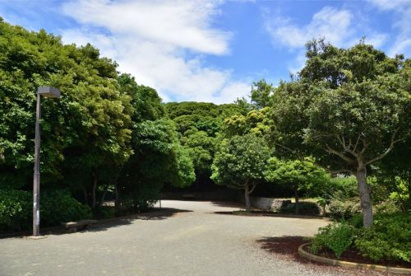長沢公園の画像1