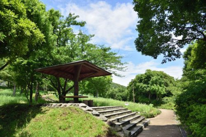 長沢村岡公園の画像1