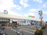 ヨークマート厚木妻田店