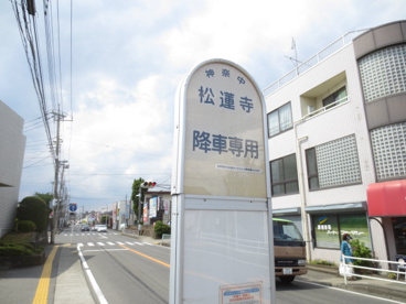 松蓮寺（バス）の画像1
