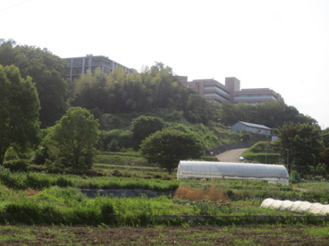 東京農業大学農学部 厚木キャンパスの画像1