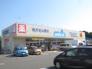 ウエルシア 海老名東柏ケ谷店の画像1