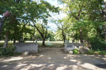 後谷公園