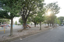 根木橋公園