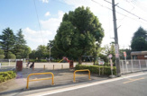 新田公園