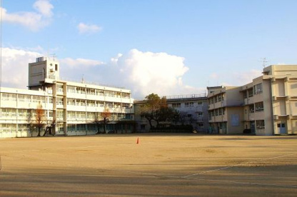 深井小学校の画像1