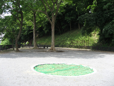 いずみ桜広場の画像1