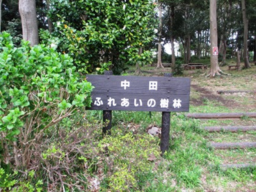 中田ふれあいの樹林の画像1