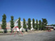 玉村町立玉村小学校の画像