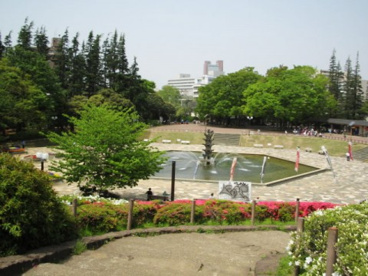世田谷公園の画像1