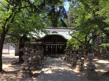 千塚八幡神社の画像1