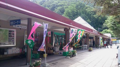 道の駅 甲斐大和の画像2