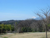 公園 上星川あおぞら公園