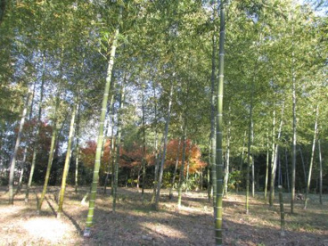 守山西公園の画像2