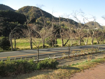守山西公園の画像3