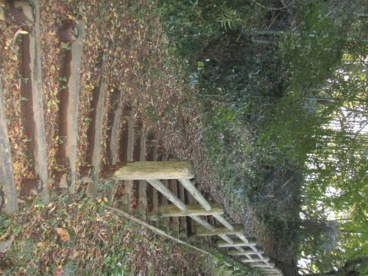 守山西公園の画像4