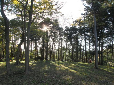 守山西公園の画像5