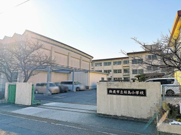 鈴鹿市立桜島小学校の画像1