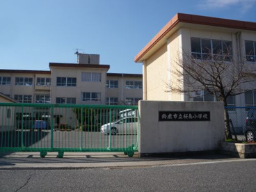 鈴鹿市立桜島小学校の画像2