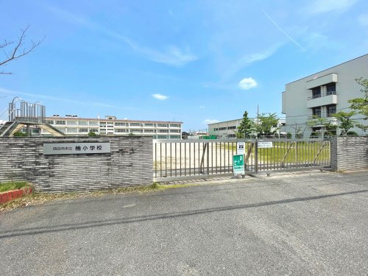 四日市市立楠小学校の画像1