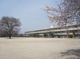 前橋市立敷島小学校の画像