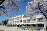 城東小学校