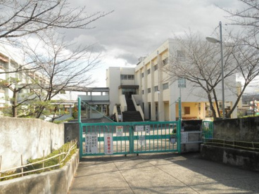 右京小学校の画像1