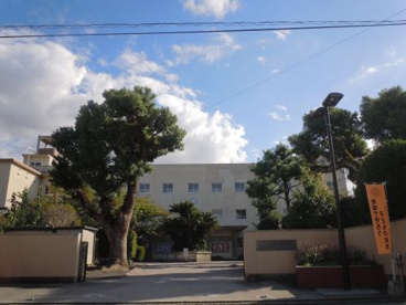 三津浜小学校の画像1