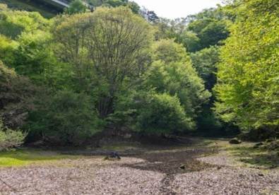 赤池の画像1