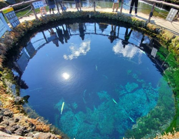 忍野八海の画像1