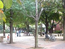 早稲田通り公園