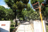 白銀公園