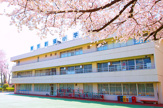 東京創価小学校
