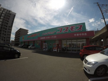 コスモス中津中央店