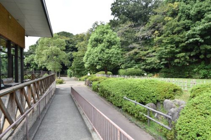 田園調布せせらぎ公園情報ページ 横浜の賃貸物件ならエルeサーチ 田園調布せせらぎ公園情報ページ 横浜の賃貸物件ならエルeサーチ