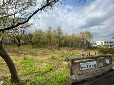 西原自然公園の画像2