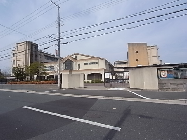 の画像