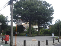 けやきの公園
